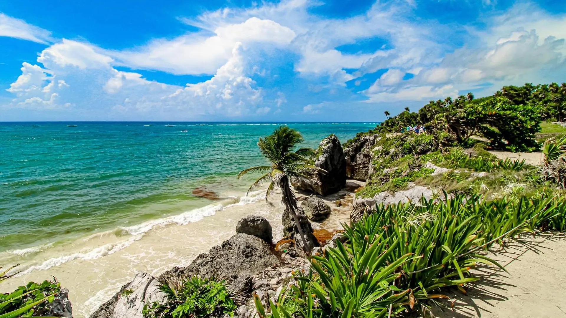 Tao Edena, Unit 109 Apartment Tulum Mexico