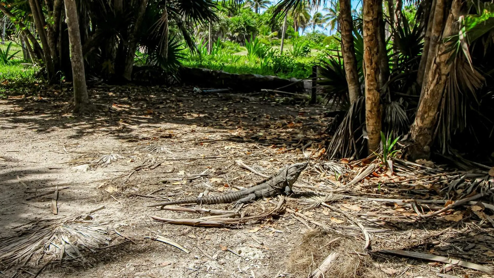 Appartamento Tao Edena, Unit 109 Tulum 0*,  Messico